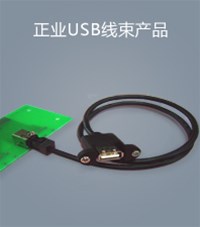正业USB线束产品